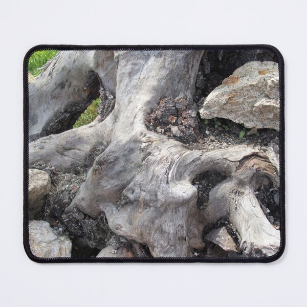 Item preview, Old Gnarled Stump: twists and curves. designed and sold by Dustwood-Media.