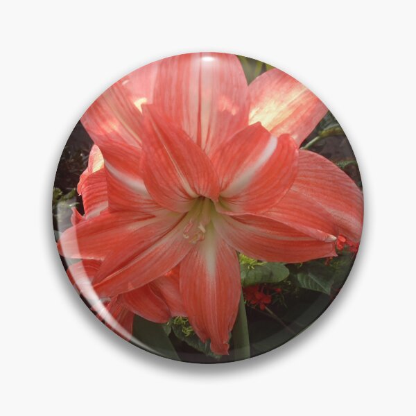 Aperçu de l'œuvre Corail d'Hibiscus créée et vendue par JulieJubb.