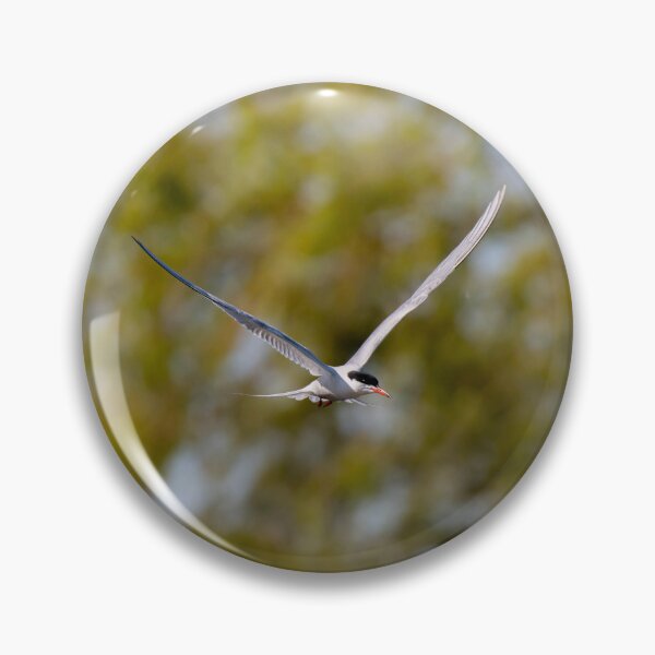 Item preview, Common Tern designed and sold by MTPhotos1406.