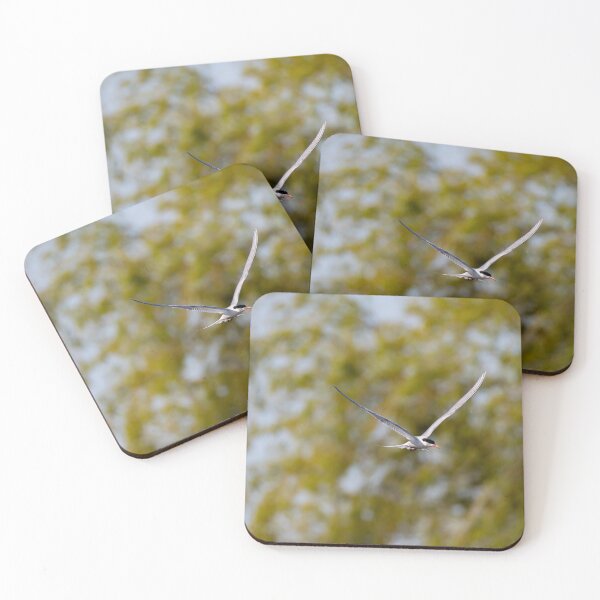 Item preview, Common Tern designed and sold by MTPhotos1406.