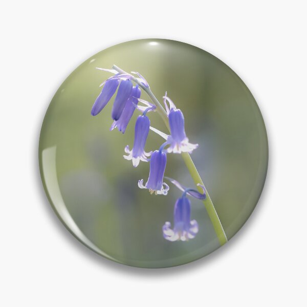 Item preview, Digital photograph of bluebell flower Snowshill Cotswolds Gloucestershire  designed and sold by SimonJohnson1.