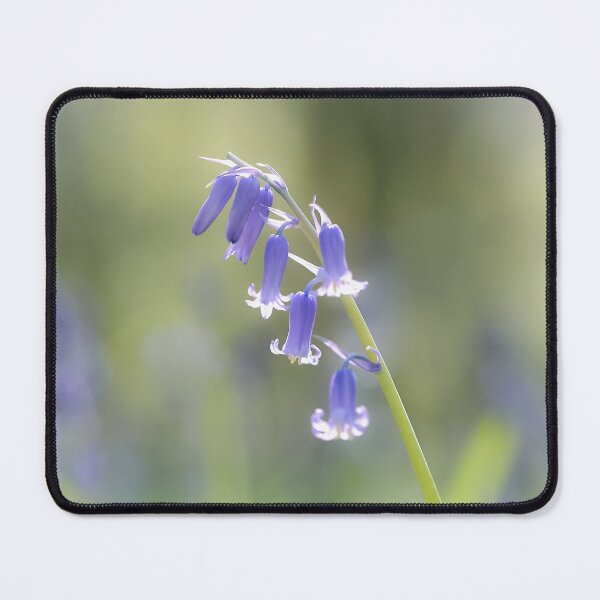 Item preview, Digital photograph of bluebell flower Snowshill Cotswolds Gloucestershire  designed and sold by SimonJohnson1.