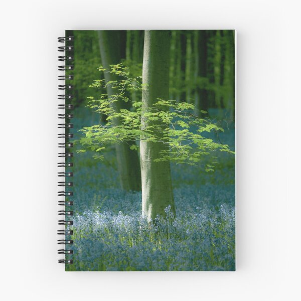 Item preview, Digital photograph of bluebell flowers Snowshill Cotswolds Gloucestershire  designed and sold by SimonJohnson1.