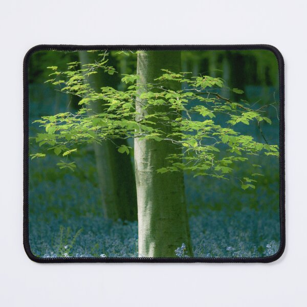 Item preview, Digital photograph of bluebell flowers Snowshill Cotswolds Gloucestershire  designed and sold by SimonJohnson1.