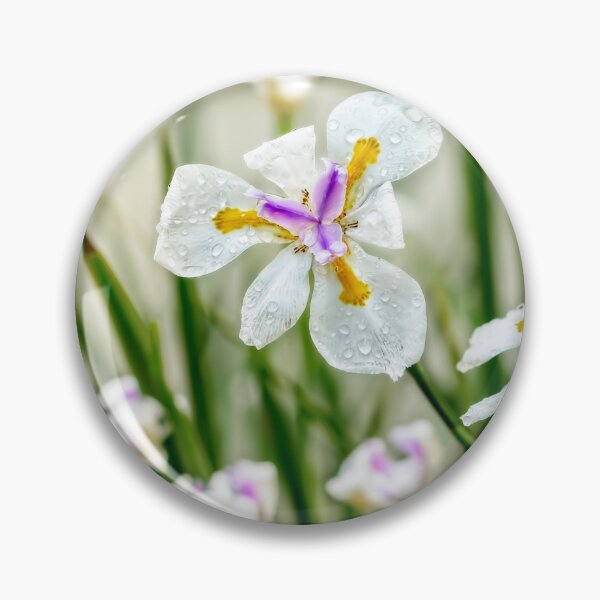 Item preview, African Iris With Droplets designed and sold by Kay Brewer.
