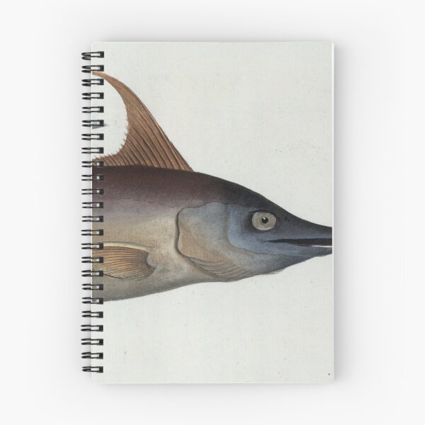 Item preview, Vintage Illustration of a Swordfish (1785) designed and sold by BravuraMedia.