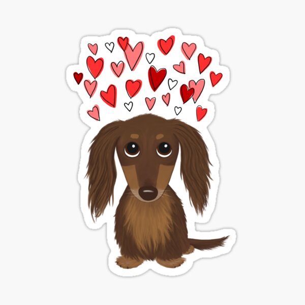 Longhaired Chocolate Dachshund Cartoon Dog with Valentine Hearts Sticker