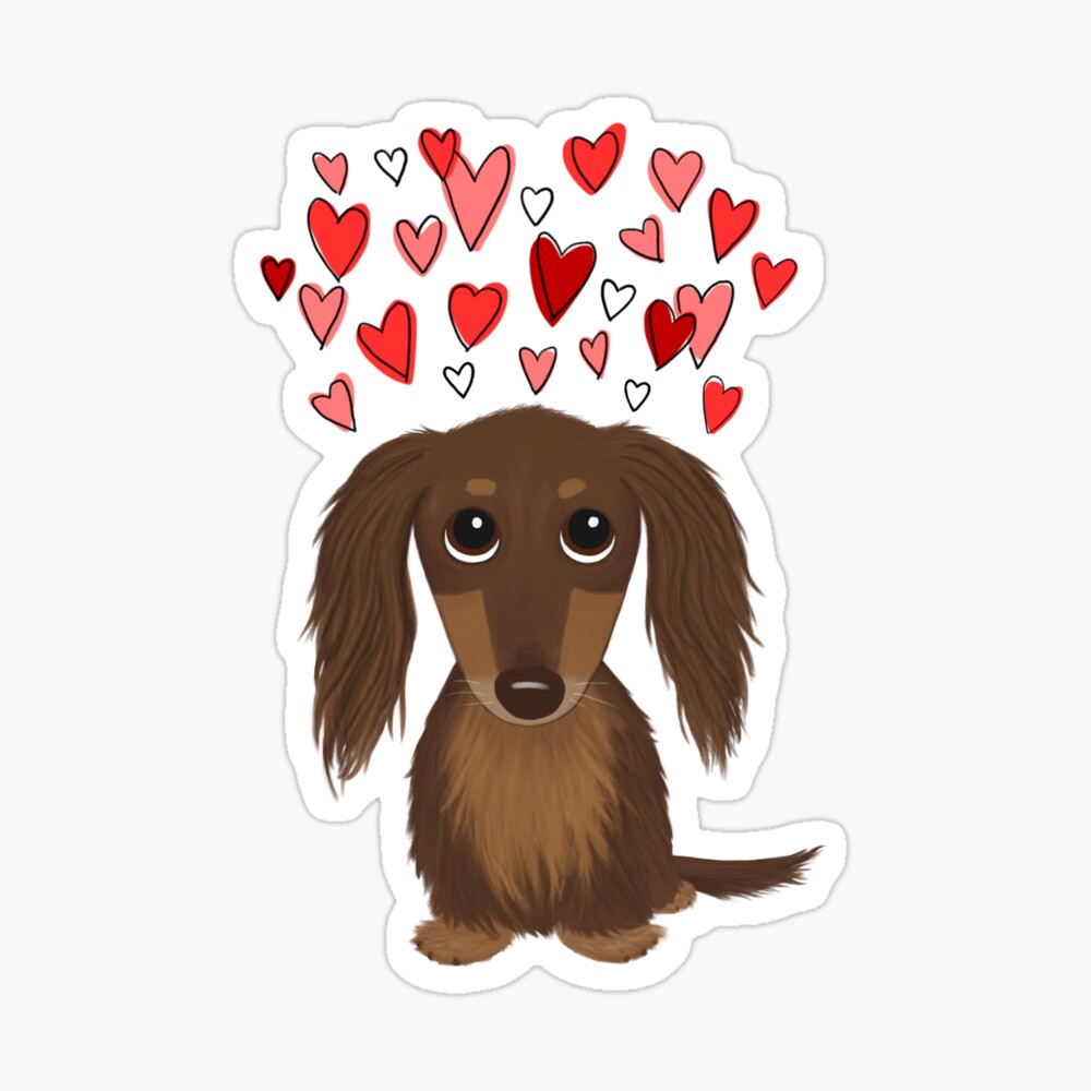 dachshund valentines day box