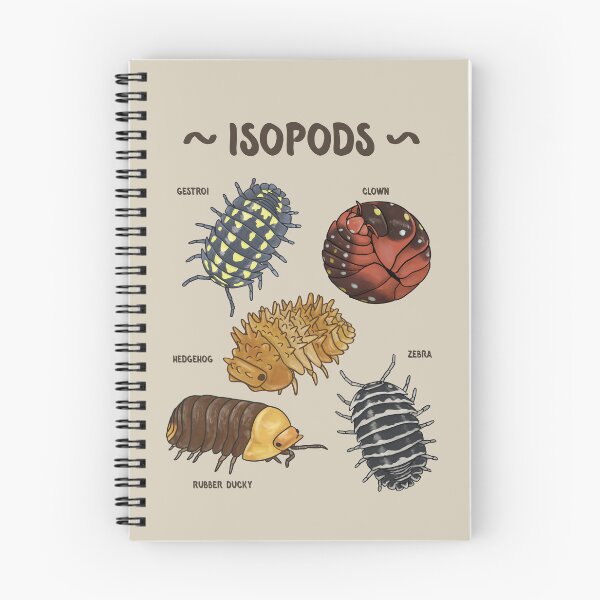 Item preview, Isopods! designed and sold by specimentality.
