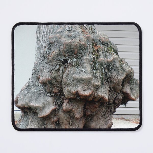 Item preview, Stubborn Post Oak designed and sold by gistinker.