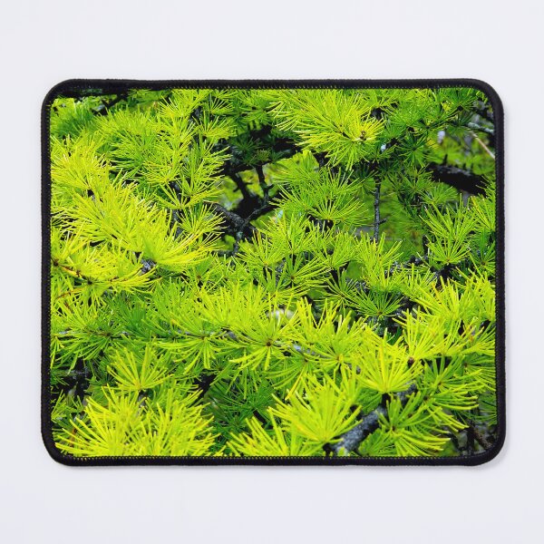 Item preview, Tamarack Needles designed and sold by bjtomiko.