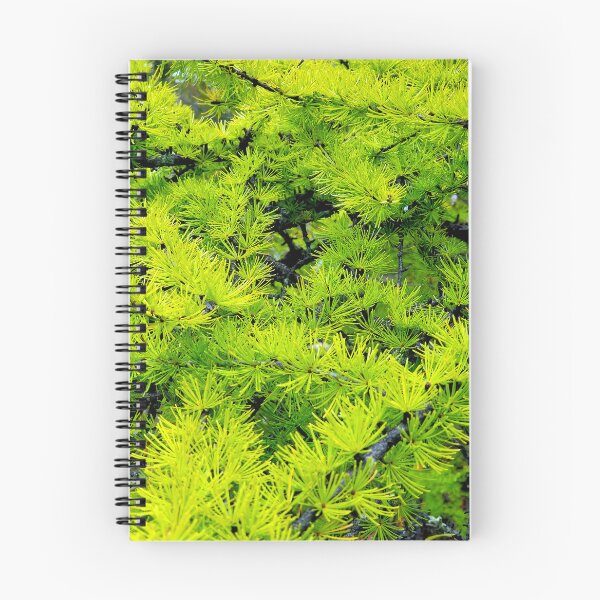 Item preview, Tamarack Needles designed and sold by bjtomiko.