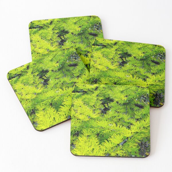 Item preview, Tamarack Needles designed and sold by bjtomiko.