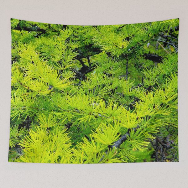 Item preview, Tamarack Needles designed and sold by bjtomiko.