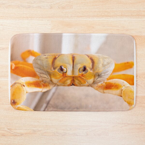 Item preview, Close Up View of a Crab Face designed and sold by Don Arsenault.