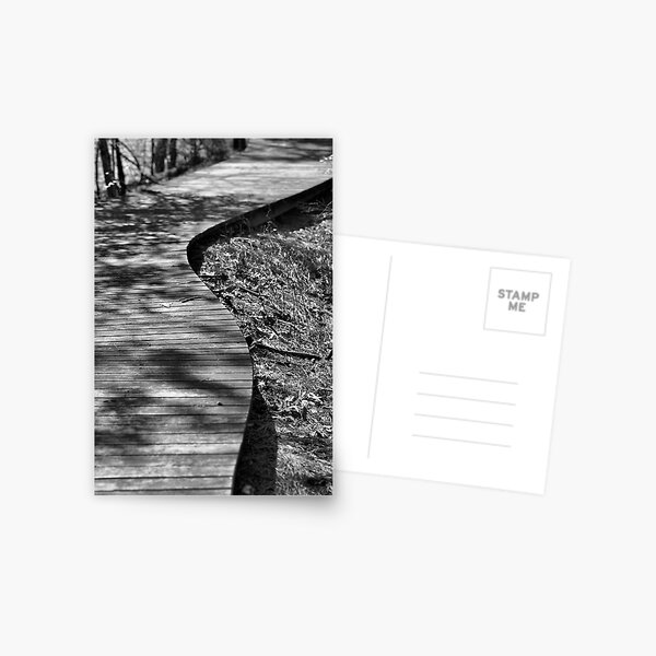 The Winding Path Postcard