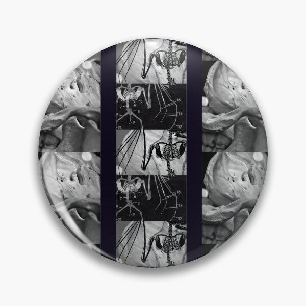 Item preview, Bat Skeletons and Abstract Skulls - Stripes - Vintage Scientific Diagram - Photography - Black and White - Unique Gothic Design designed and sold by SageFolio.