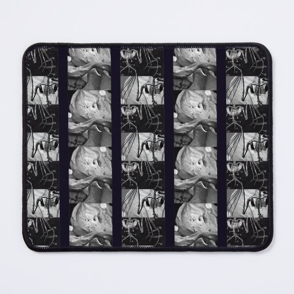 Item preview, Bat Skeletons and Abstract Skulls - Stripes - Vintage Scientific Diagram - Photography - Black and White - Unique Gothic Design designed and sold by SageFolio.