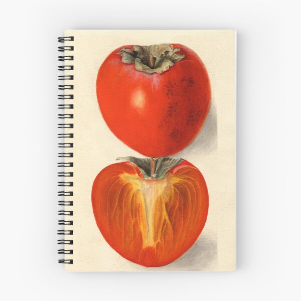 Item preview, Vintage Plum Tomato Illustration designed and sold by BravuraMedia.
