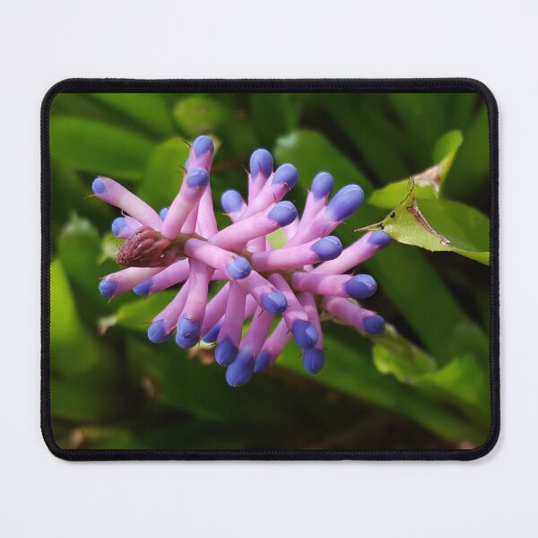 Item preview, Purple and Pink Tropical Inflorescence designed and sold by Creative Endeavors ..
