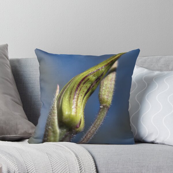 Item preview, Spider Orchid Bud designed and sold by Ben Loveday.