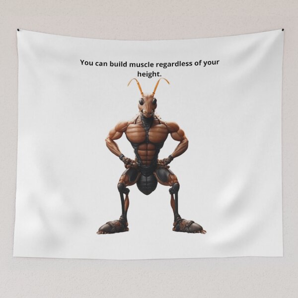 Item preview, You can build muscle regardless of your height-gym designed and sold by Bitty777.