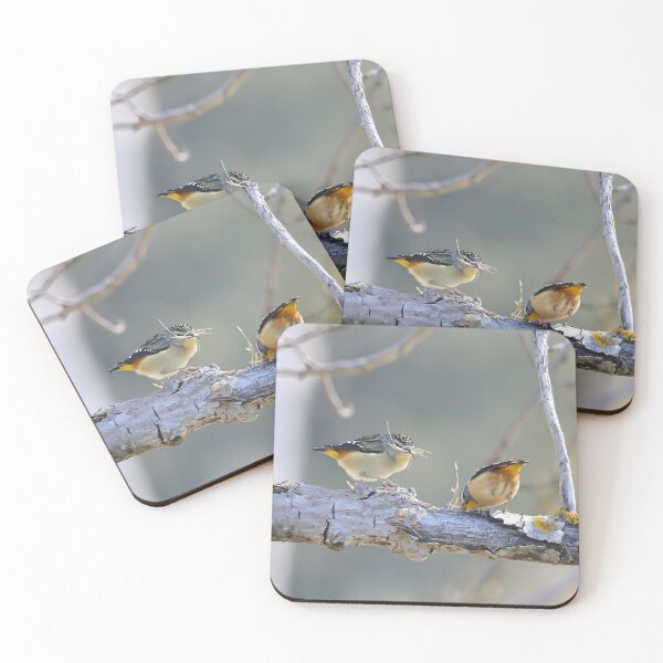 Item preview, Spotted Pardalote Pair - Australian Native Bird designed and sold by Linda Simpson.