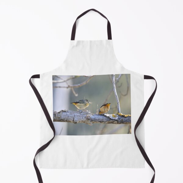 Item preview, Spotted Pardalote Pair - Australian Native Bird designed and sold by Linda Simpson.