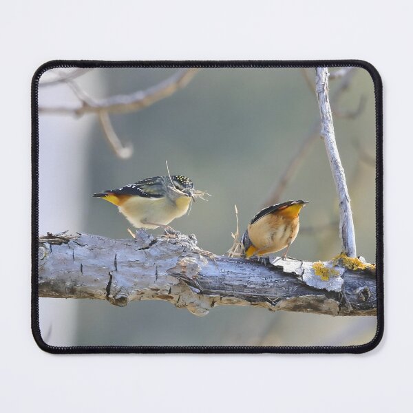 Item preview, Spotted Pardalote Pair - Australian Native Bird designed and sold by Linda Simpson.