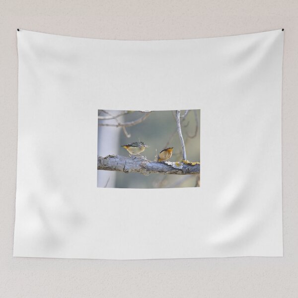 Item preview, Spotted Pardalote Pair - Australian Native Bird designed and sold by Linda Simpson.