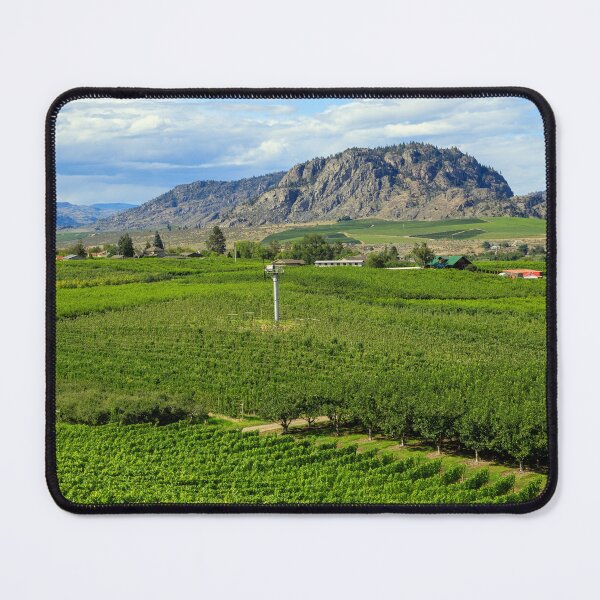Item preview, Okanagan Valley British Columbia Winery Vineyard Landscape designed and sold by Kevin Miller Photography.