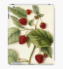 Vintage Raspberry Illustration iPad Case/Skin