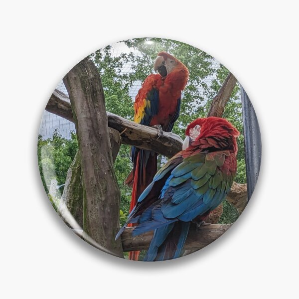 Item preview, A Pair of Red Macaw designed and sold by TheRealDanniX.