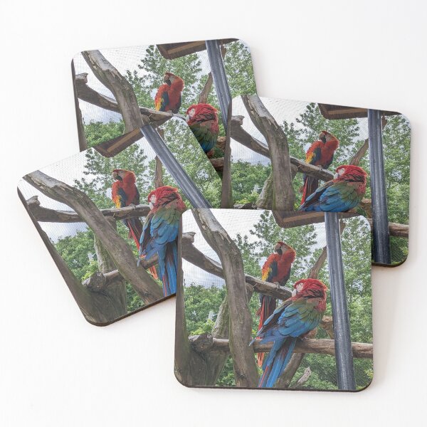 Item preview, A Pair of Red Macaw designed and sold by TheRealDanniX.