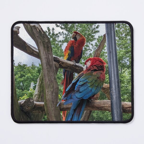 Item preview, A Pair of Red Macaw designed and sold by TheRealDanniX.