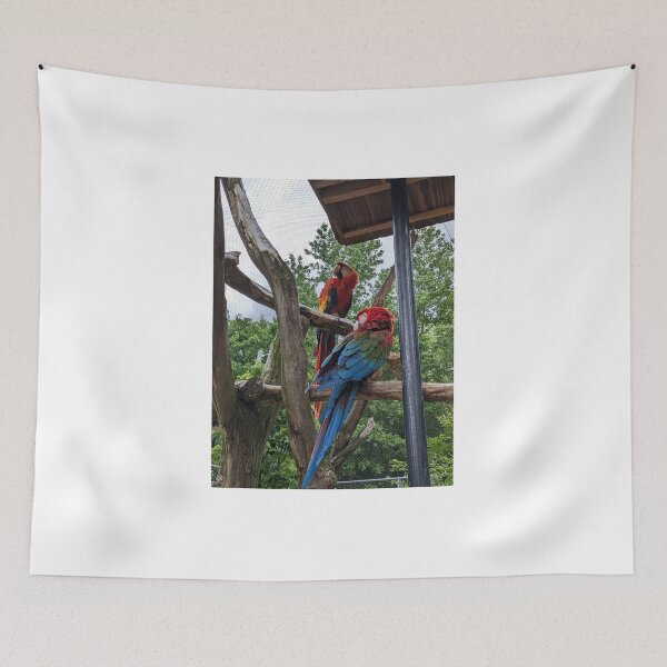 Item preview, A Pair of Red Macaw designed and sold by TheRealDanniX.
