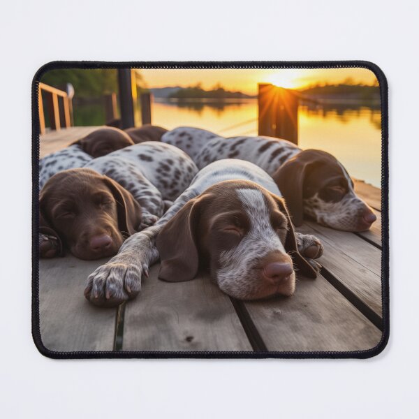 Item preview, German Shorthair Pointer Puppies (Design 2) designed and sold by Samuelsboro.