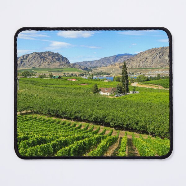 Item preview, Okanagan Valley British Columbia Winery Vineyard Landscape designed and sold by Kevin Miller Photography.