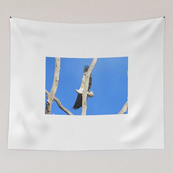 Item preview, White-Bellied Sea-Eagle - Australian Native Bird designed and sold by Linda Simpson.