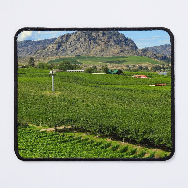 Item preview, Okanagan Valley British Columbia Winery Vineyard Landscape designed and sold by Kevin Miller Photography.