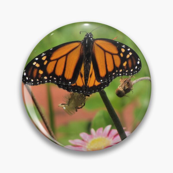 Item preview, Monarch designed and sold by Liana Melissa Allen.