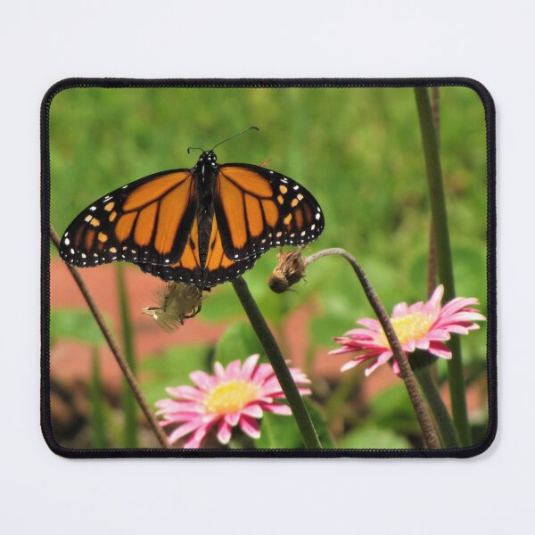 Item preview, Monarch designed and sold by Liana Melissa Allen.