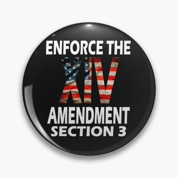 Item preview, Enforce the  14 th amendment of USA constitution,section 3 designed and sold by erozzz.