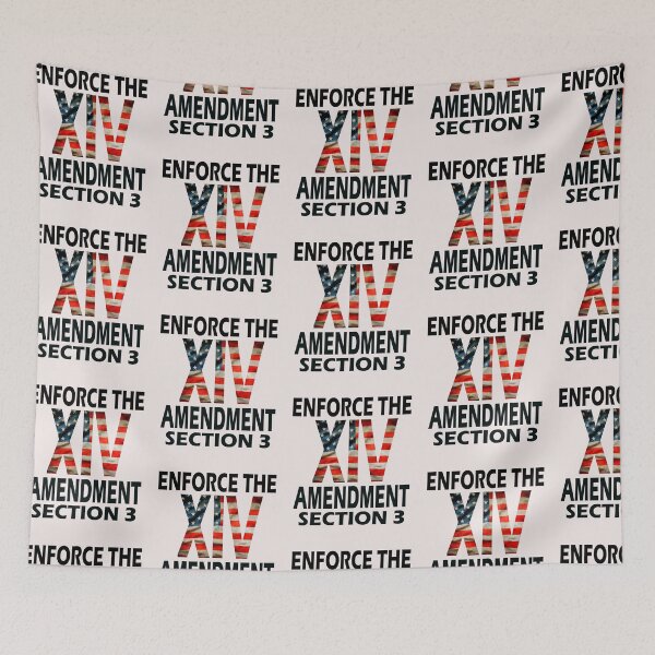 Item preview, Enforce the  14 th amendment of USA constitution,section 3 designed and sold by erozzz.