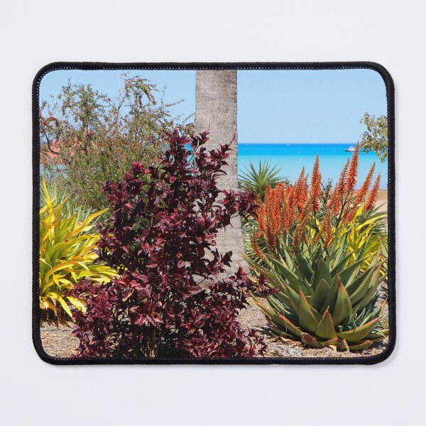 Item preview, Tropical coastal park garden, Broome, Australia designed and sold by FranWest.