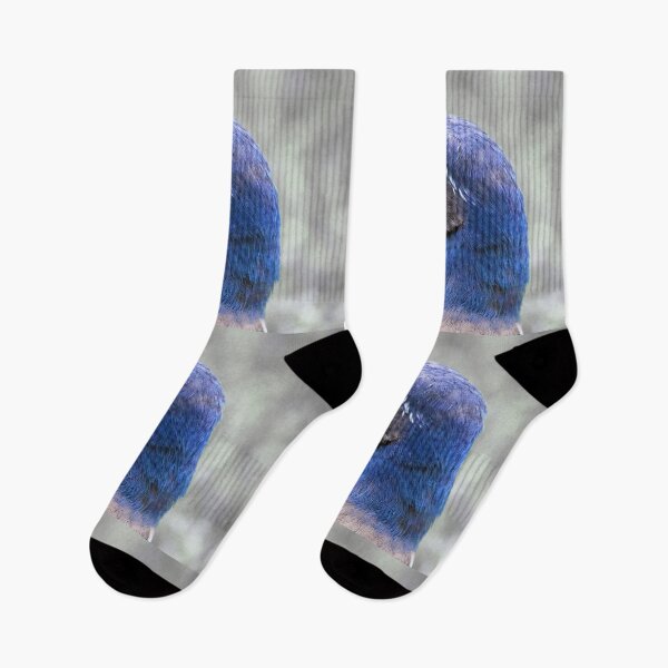 Item preview, California Scrub Jay designed and sold by CarolM.