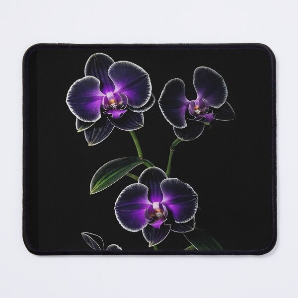 Item preview, Darkness and Orchids 02 designed and sold by Mystic-Images.