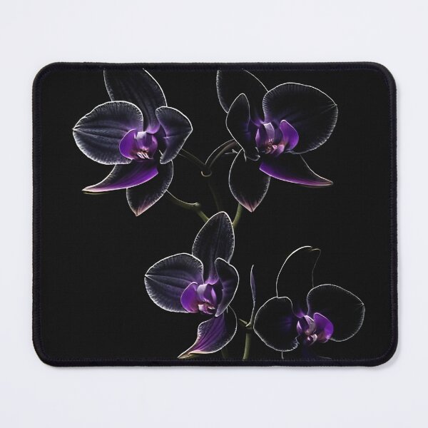 Item preview, Darkness and Orchids 04 designed and sold by Mystic-Images.