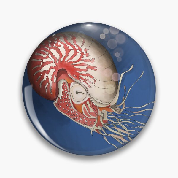 Item preview, The fabulous nautilus designed and sold by Langfordcraft.