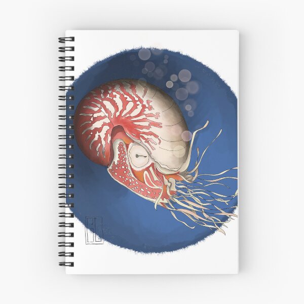 Item preview, The fabulous nautilus designed and sold by Langfordcraft.